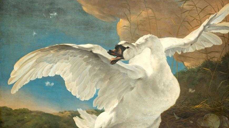 Netherlands Debt Collection Laws