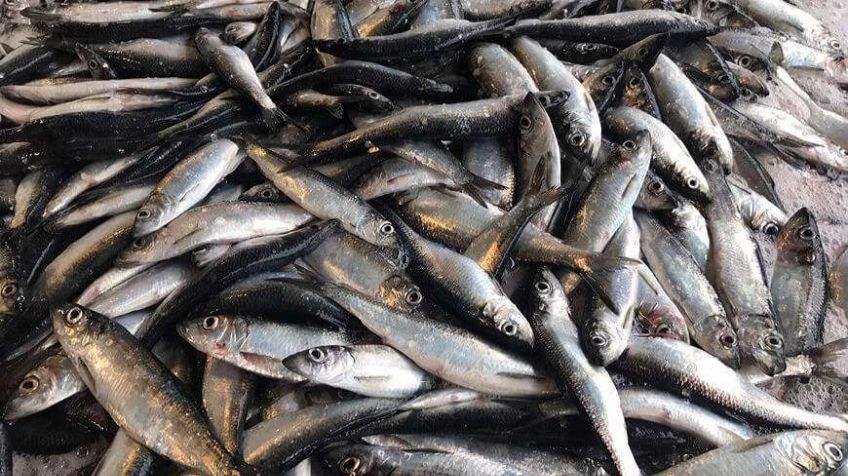 Kündigung wegen schlechter Leistung