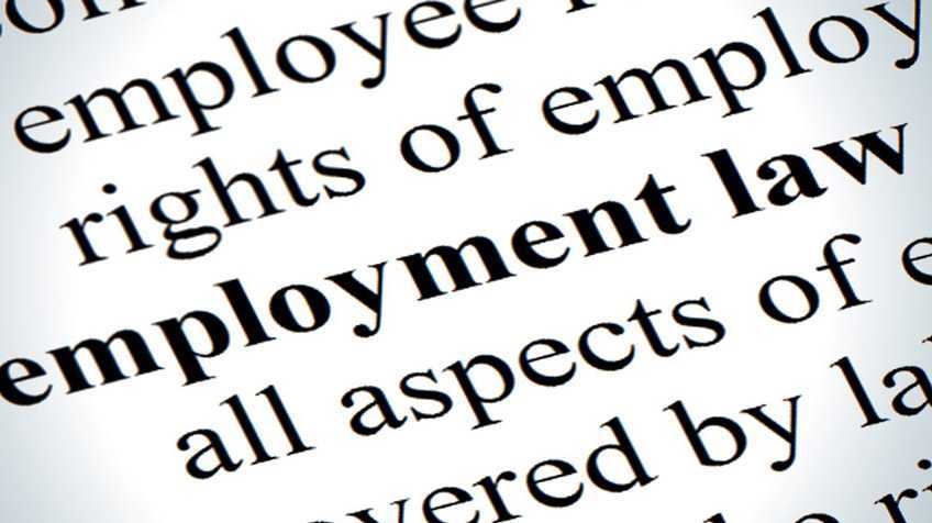 Employment contract under Dutch law