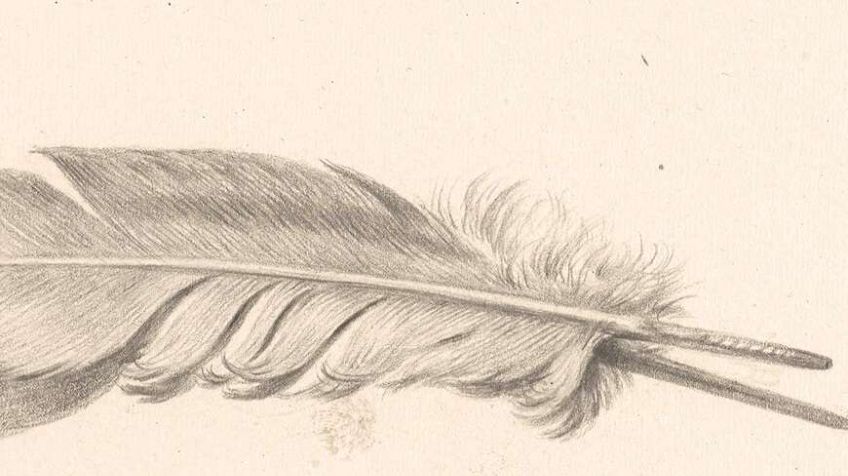 Zuständigkeit des Netherlands Commercial Court